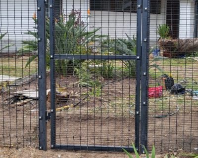 WhatsApp Image 2026-03-24 at 2.29.37 PM