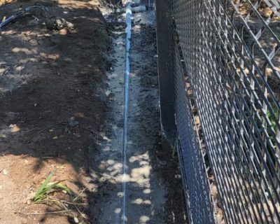 WhatsApp Image 2026-03-24 at 2.29.38 PM (3)