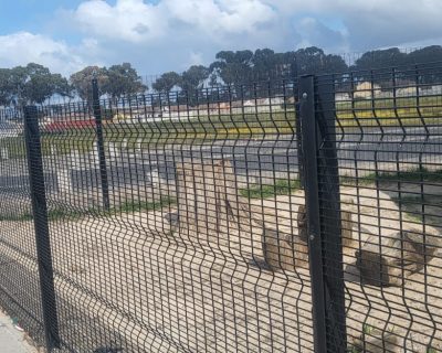 WhatsApp Image 2026-03-24 at 2.29.42 PM (3)