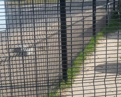 WhatsApp Image 2026-03-24 at 2.29.42 PM